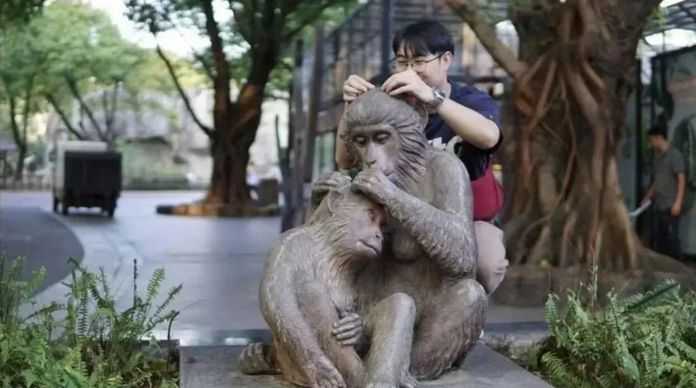 f54c0a689c9090500c02e8670a6fbe310bcb0c3b 算性騷擾了