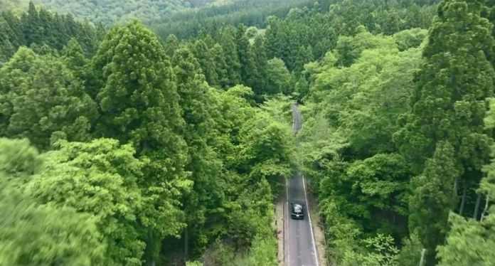 兩個男人驅車行駛在山林中