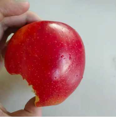 a597718ee2c12905aac5e16972add28d685208b5 顏色