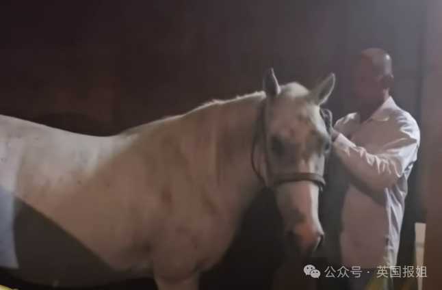 b219f6ba4f443a91af64e03be75aee5a3c7991fc 事件被媒體報道後,網友們大為震撼