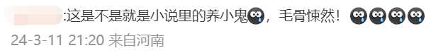 有的覺得是小說裡寫的「養小鬼」