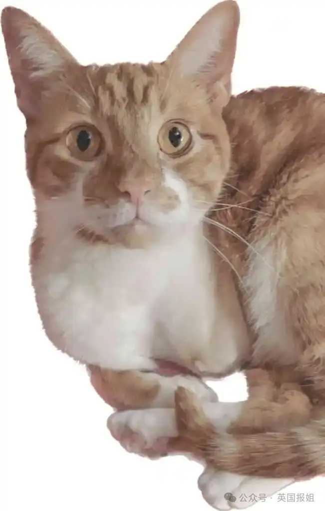 d46019e5e4d33c1ae9d9e5d0fc1dab60ce3b5213