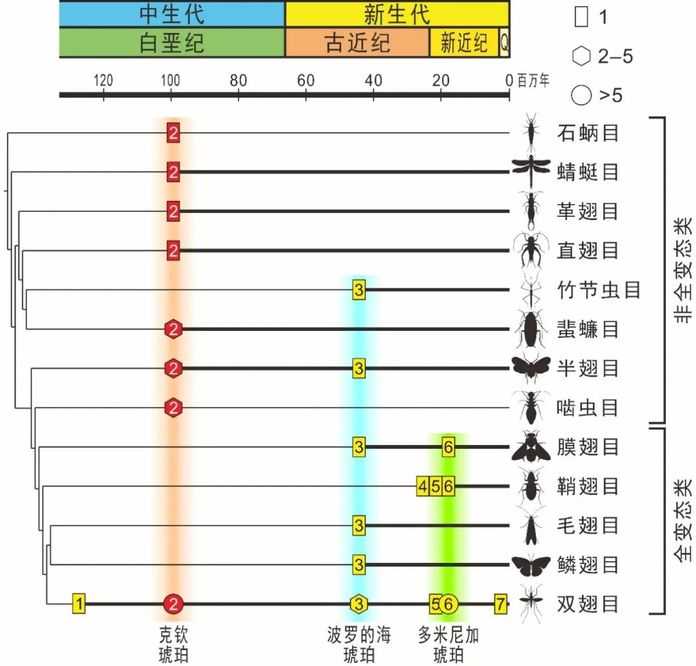 d4adbecbfa5043a2d8ad85d33792967088d22e9f 索線蟲寄生昆蟲的化石記錄