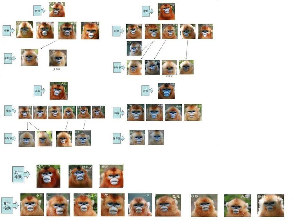 101826941157
