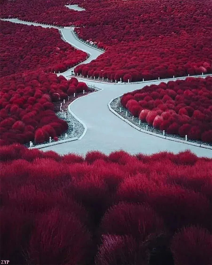 a7040491f8b740768161e098579098d8noop