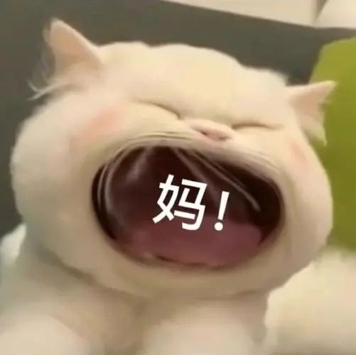 219