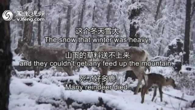 fba744cf39e6757389c81e39e62f6c9cb4726b1f 酗酒,就是在這樣的日子裡發生的