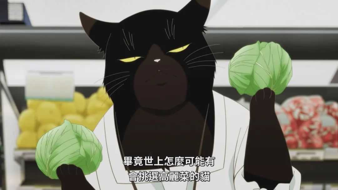 竟然還會做便當，洗衣服，包乾一切家務…
