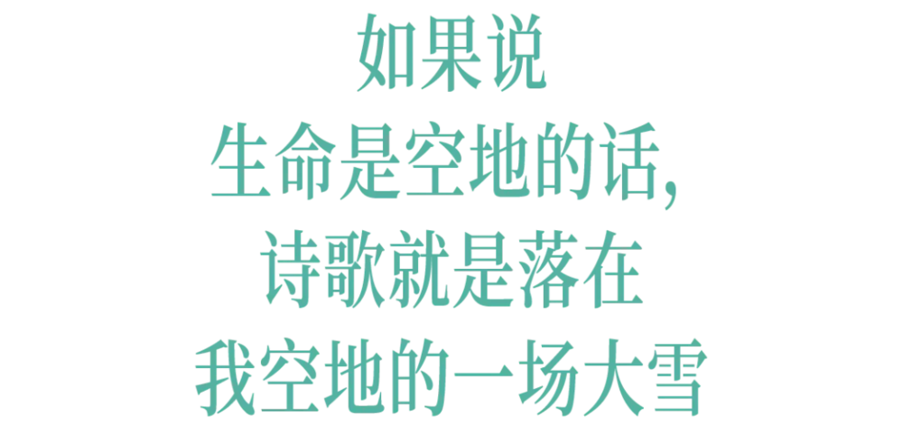 213806862973