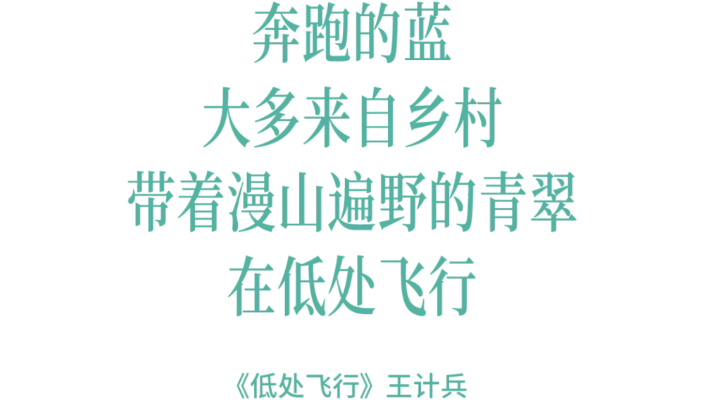 213823862260