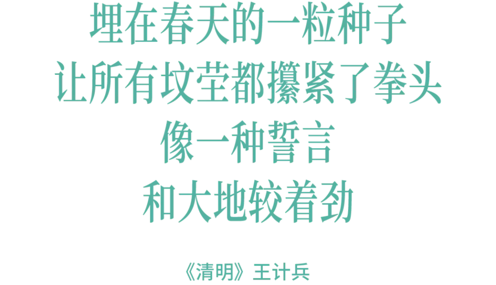 213828950224