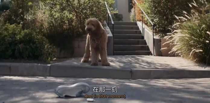 凱文出了車禍，去世了…