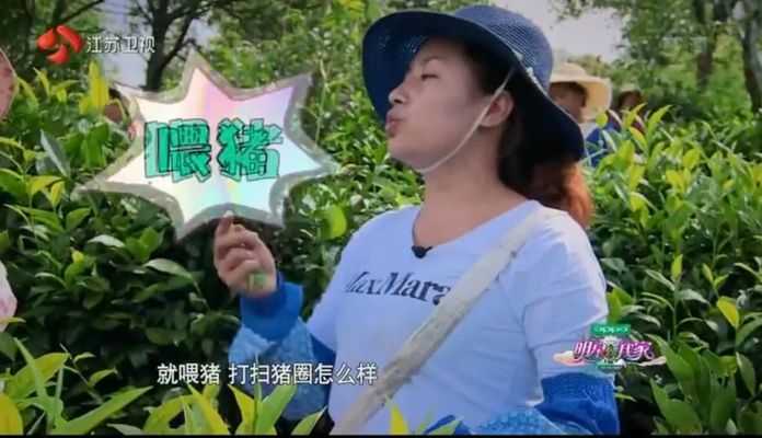 最後李金銘摘的茶葉比「大嫂」少了三兩