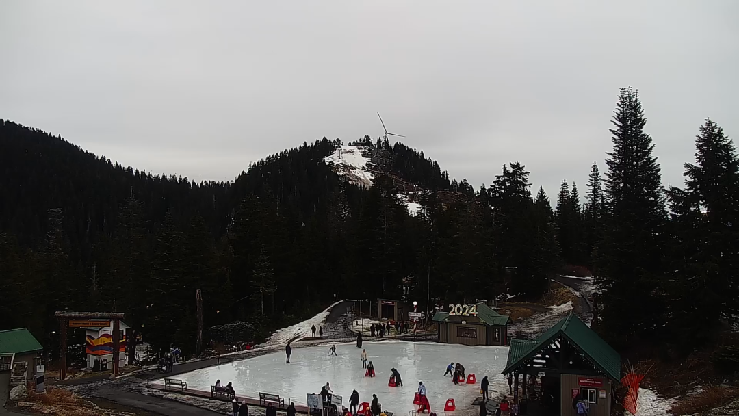 c_pic_170398506552740
