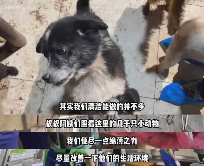 他們唯一一次對客戶發火，也是因為動物