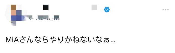 如果是MiA的話，應該是做得出來…