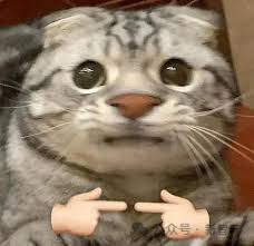 fmoklrm2ypzwuauthfhdj_yaqgzi