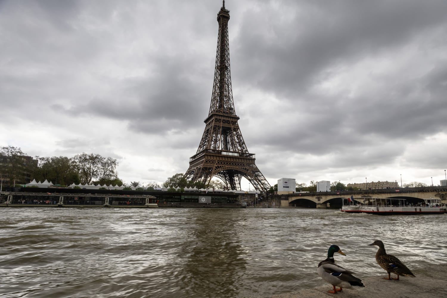c_pic_171904062978141-1