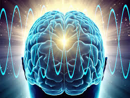 images MIT GENUS: 40 Hz Vibrations Reduce ...
