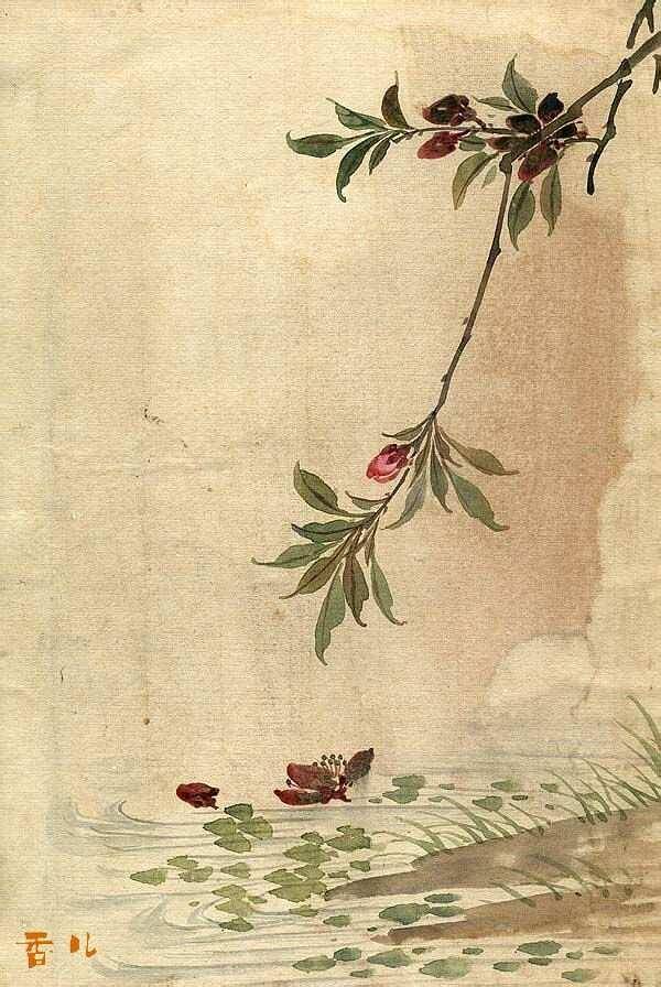 p1734907913_702type_jpeg_size_600_67_end