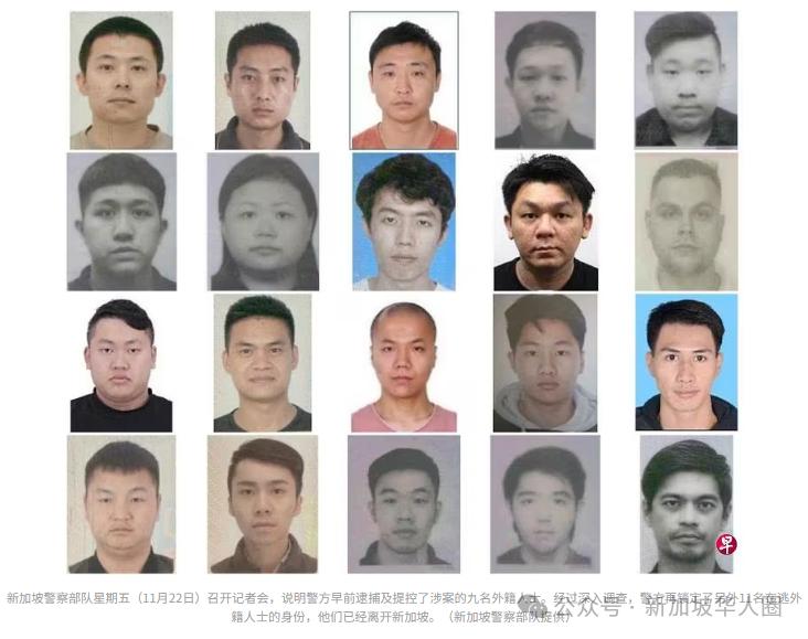 c_pic_173232839021349_type_3_size_732_126_end
