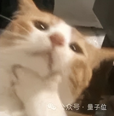 实测医疗APP好伴AI：数字版三甲专家人人可用，AI医疗落地之路终于走通了？