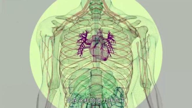 nimg-ws_-126-106