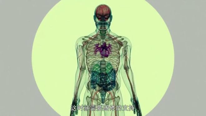 nimg-ws_-126-107