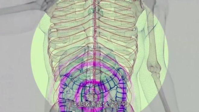 nimg-ws_-126-34-1
