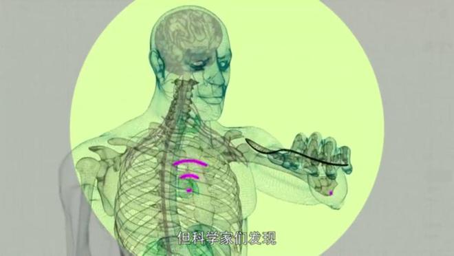 nimg-ws_-126-58