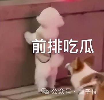 OpenAI：GPT-5就是All in One，集成各种产品