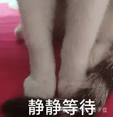 6ee468e54bcb83b12e6ea3fc2c9ca2f9 半世纪计算机理论僵局被打破!MIT科学家偶然发现:少量内存节省大量计算时间