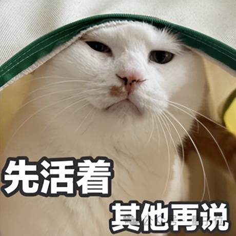 123页Claude 4行为报告发布：人类干坏事，会被它反手一个举报？！