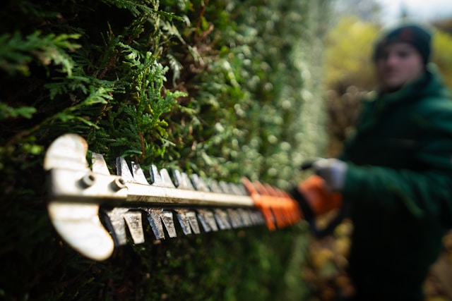 rby5ek86ooi-1 A person in a green jacket is holding a chainsaw