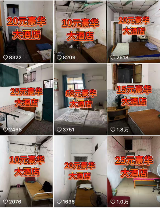 7370063489269761 图片