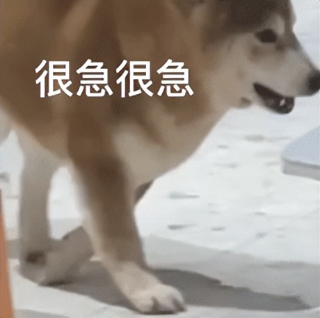 0aaf747c13ec8936cac7efc45d6f384c OpenAI被曝瞄准AI音乐赛道商业化,Suno首当其冲