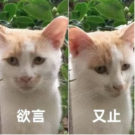 b4a113bc13713552aff257555f8985a2 OpenAI被曝瞄准AI音乐赛道商业化,Suno首当其冲