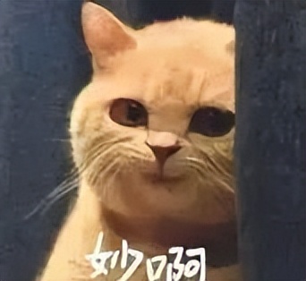 顶会直聘！大厂ICCV现场玩出新模式，还是鹅会玩