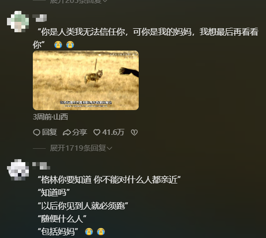 04cf6ba0-d54c-40bc-b74d-f62a04fbf540
