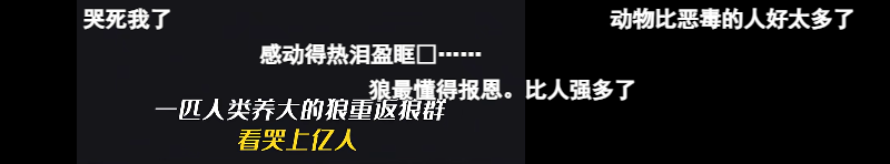 7cf9a146-3195-4e43-9a47-60ff66b87afd