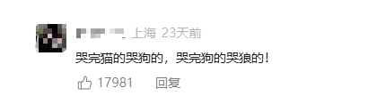 c9047e78-01de-446c-a143-cd5512d2a251