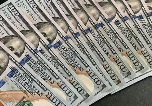 纽约华女“杀猪盘”骗局曝光：骗了13人250万美金，判120天还要赔！